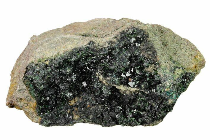 Deep-Green Libethenite Crystal Cluster #169826